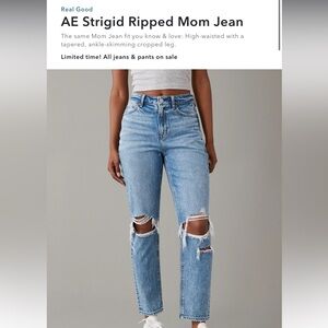 American Eagle Outfitters Strigid Ripped Mom Jean - Light Blue